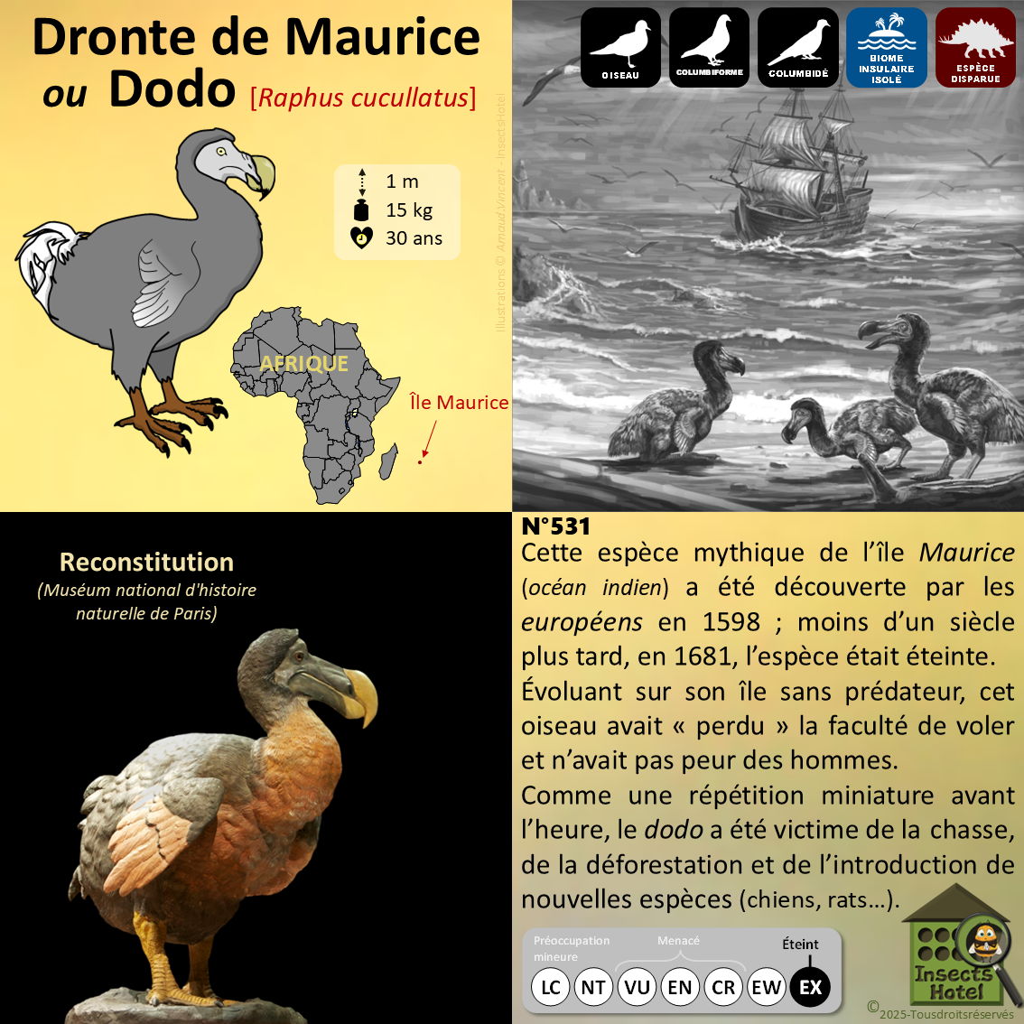 Image back Poster - Echelle de la liste rouge des espèces menacées (IUCN)