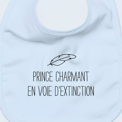 front_visual