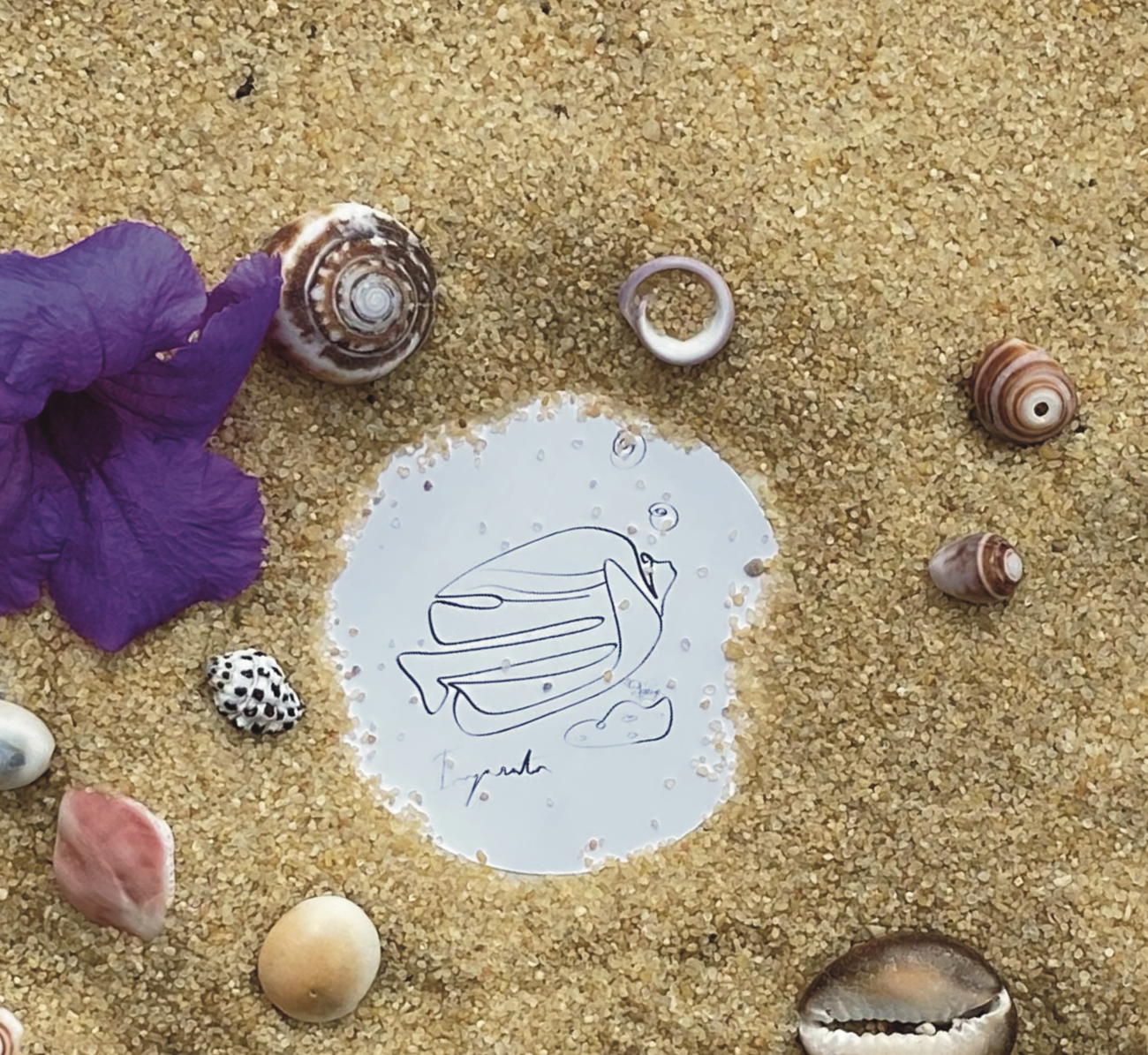 Image front Autocollant poisson ange empereur 