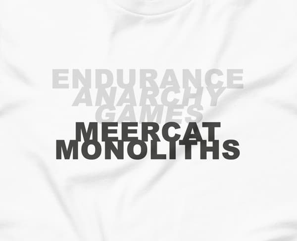 (endurance anarchy games) meercat monoliths