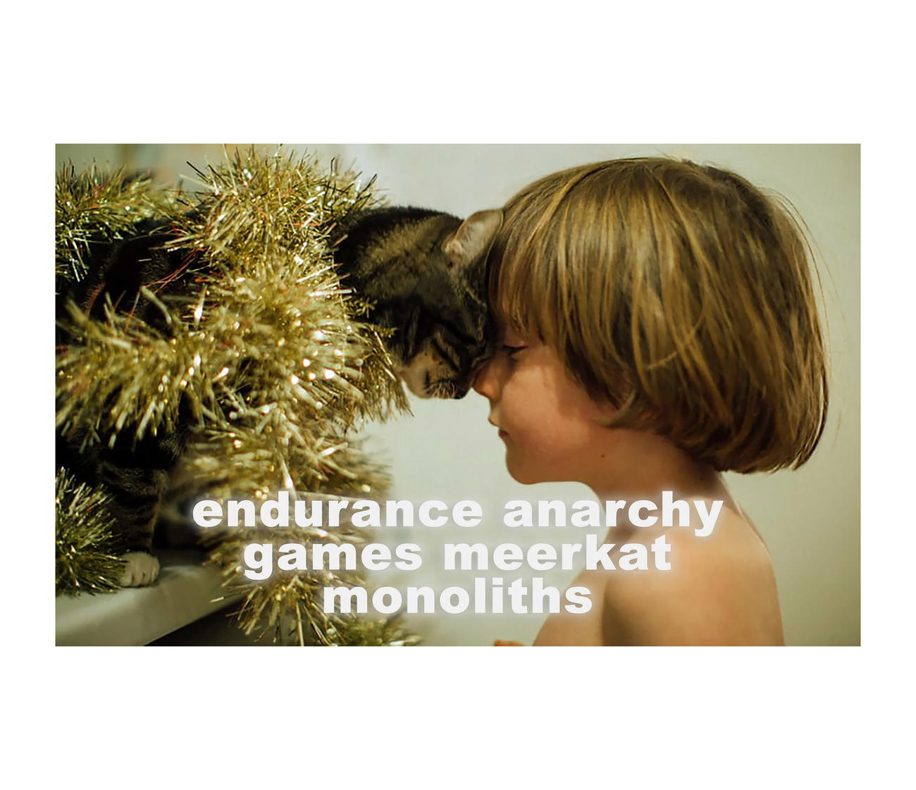 endurance anarchy games meerkat monoliths