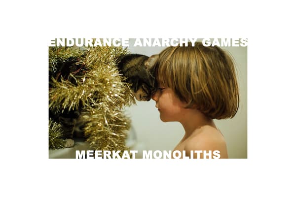 endurance anarchy games meerkat monoliths