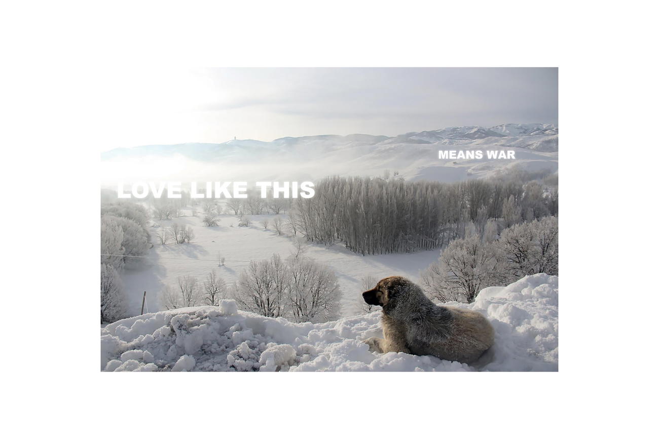 love like this means war