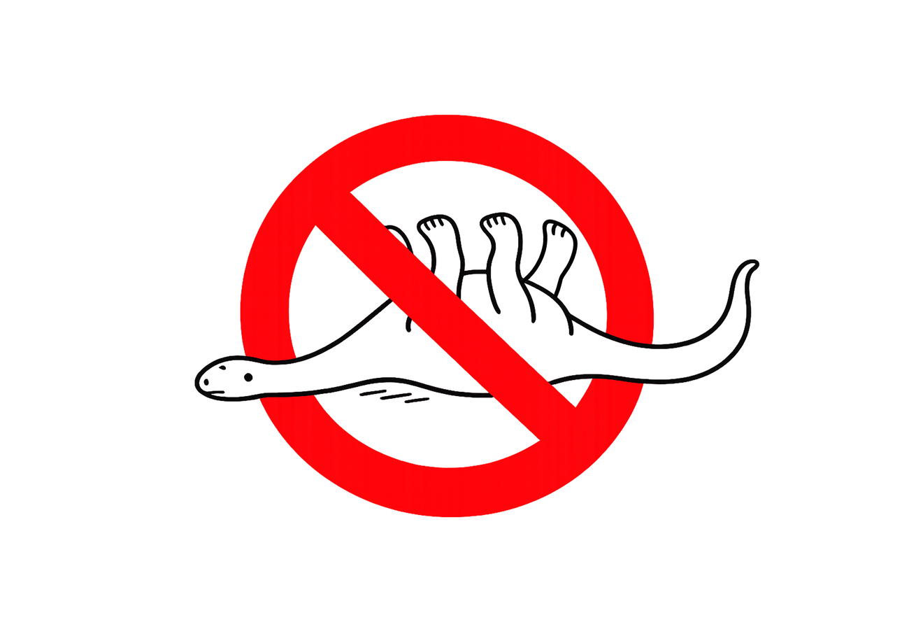 product_image_370726