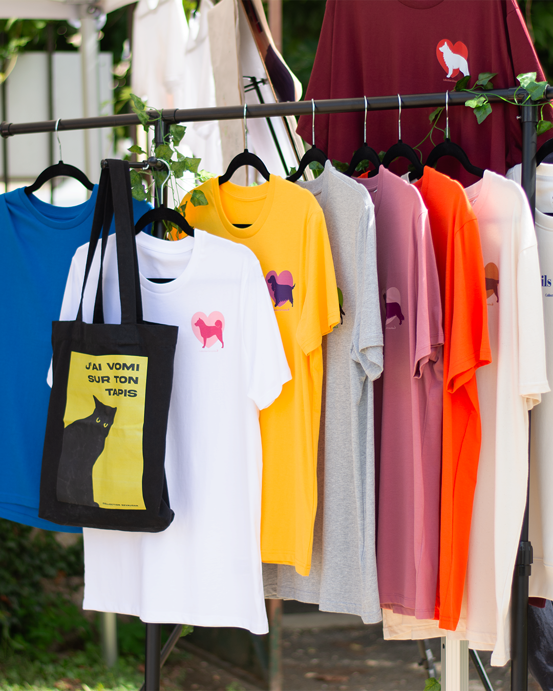 Image Couleurs Disponibles