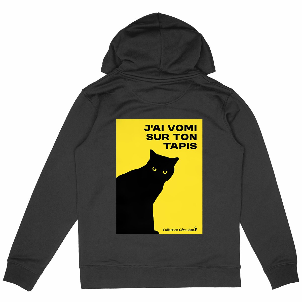 Image front Hoodie J'ai vomi sur ton tapis