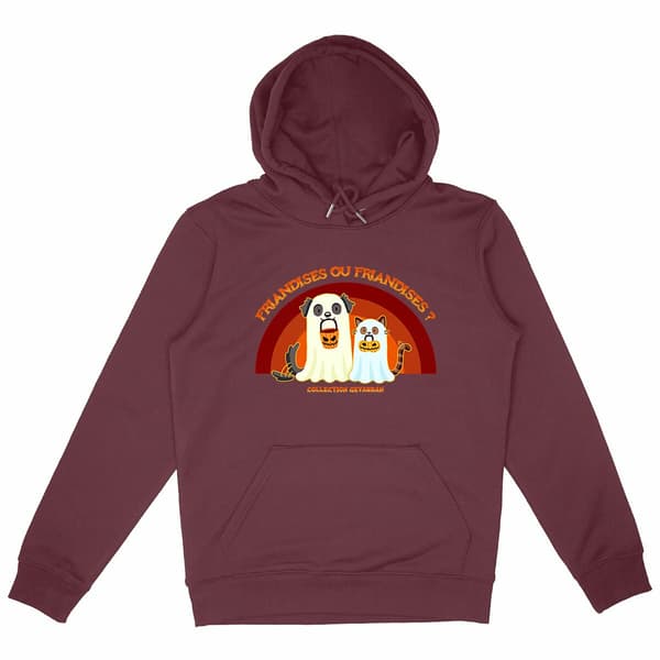 Image front Hoodie Friandises ou Friandises
