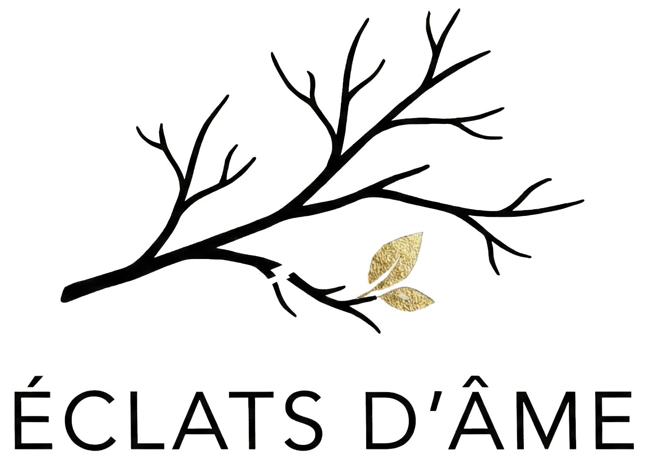 Logo de la boutique 