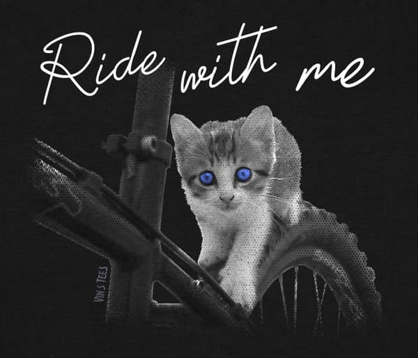 Sweat à capuche écologique Unisexe - chat, Ride with me - Image