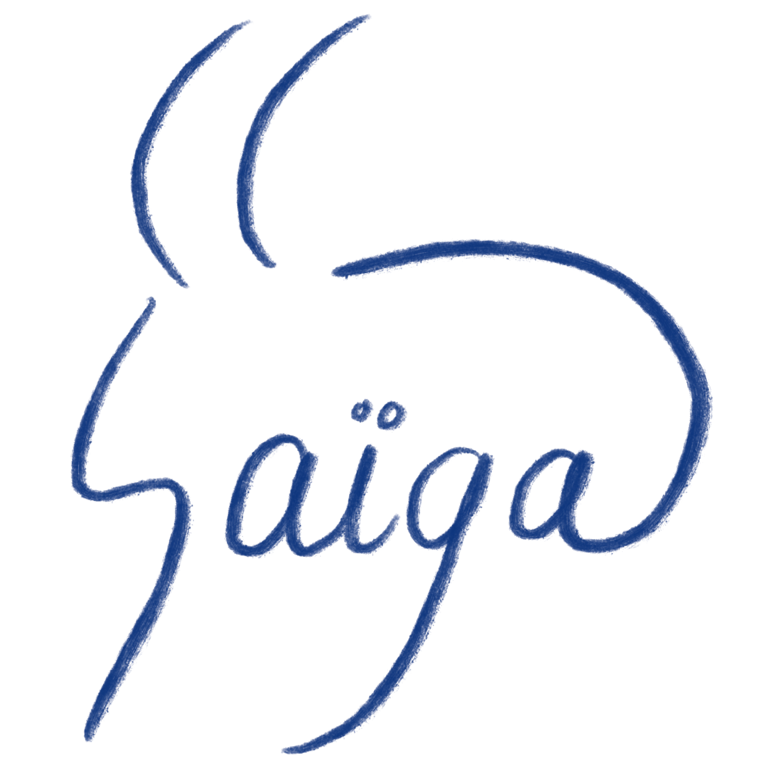 Logo de la boutique 