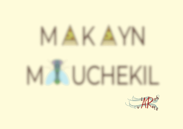 Image back Polygrotte | Acte II | Édition visuo-verbale d’auteur en HD