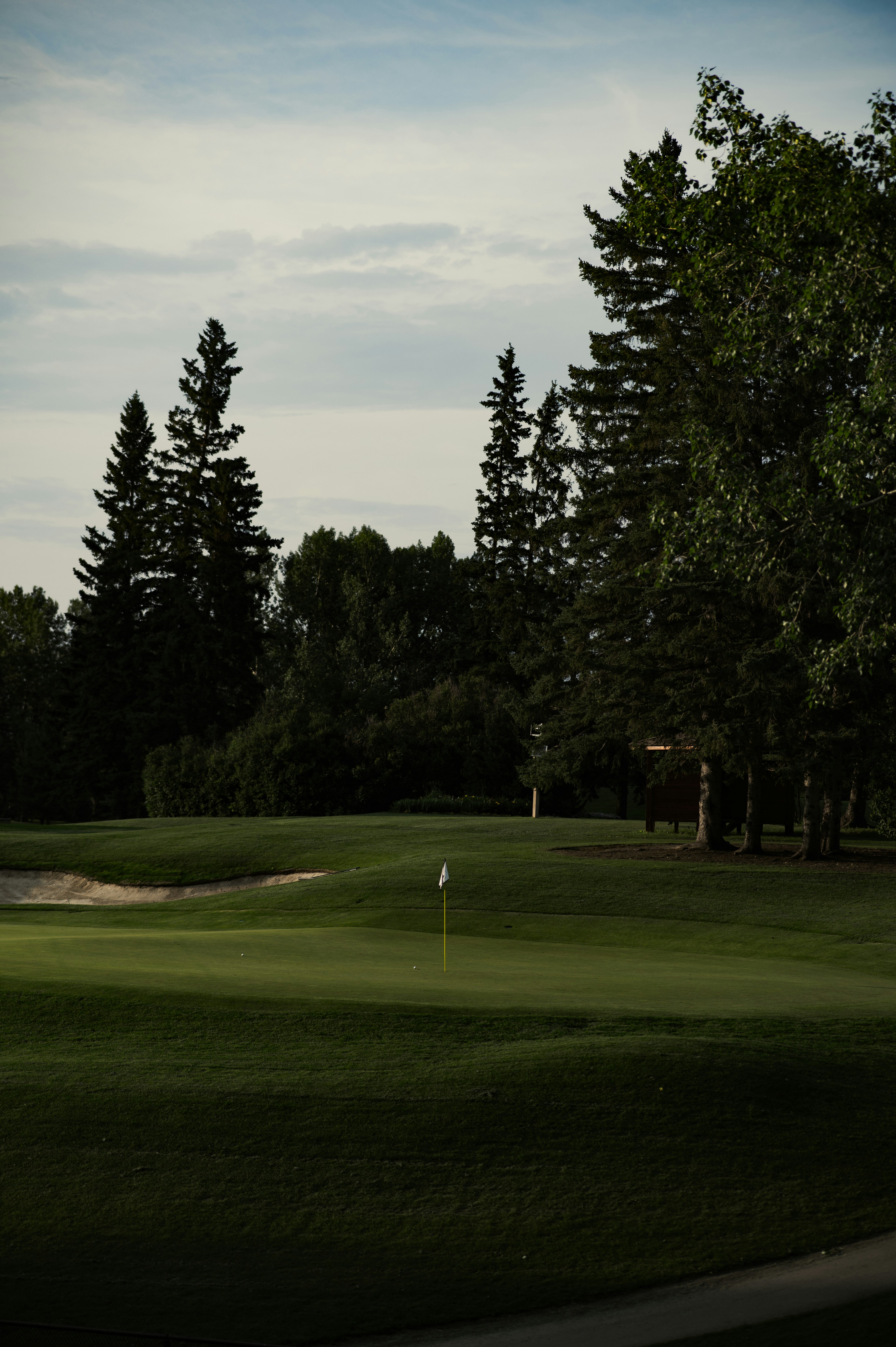 left - Aethos-le sport à la Française.