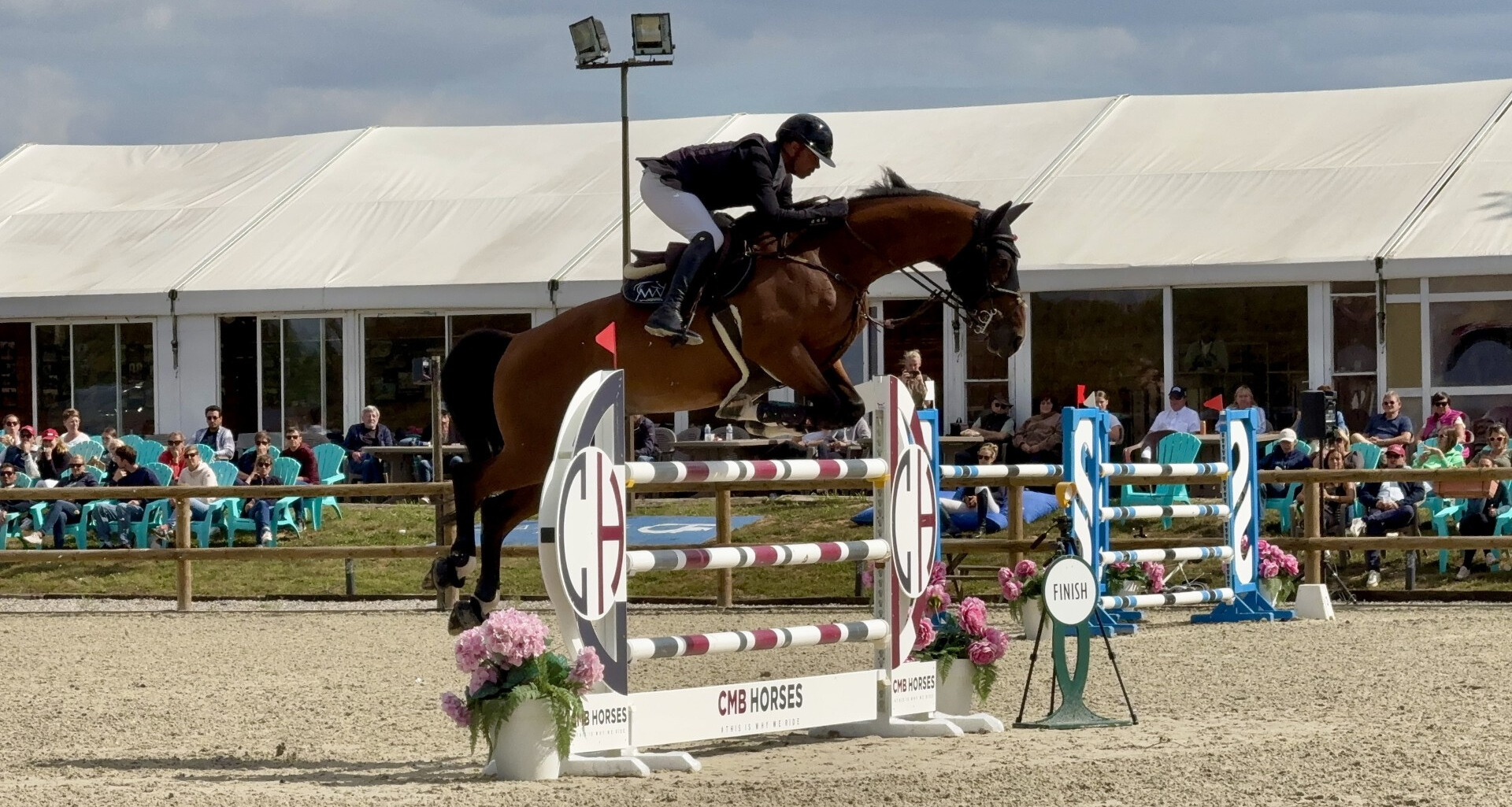 left - CMB Horses