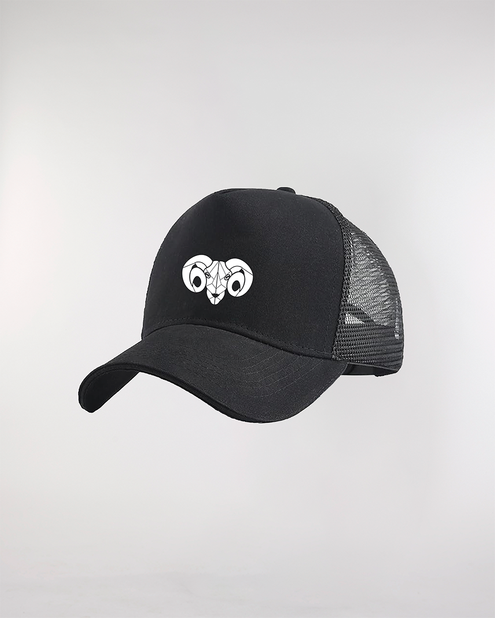 Image back BDE TSM - Trucker