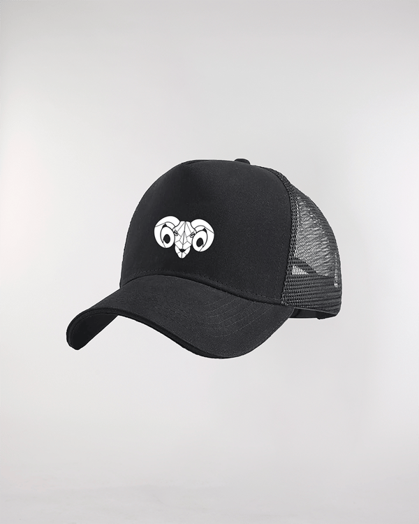 Image back BDE TSM - Trucker