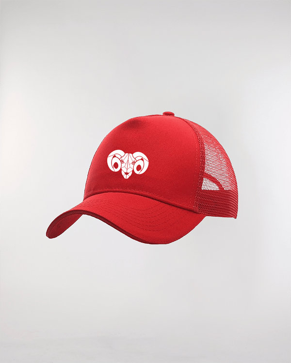 Image front BDE TSM - Trucker