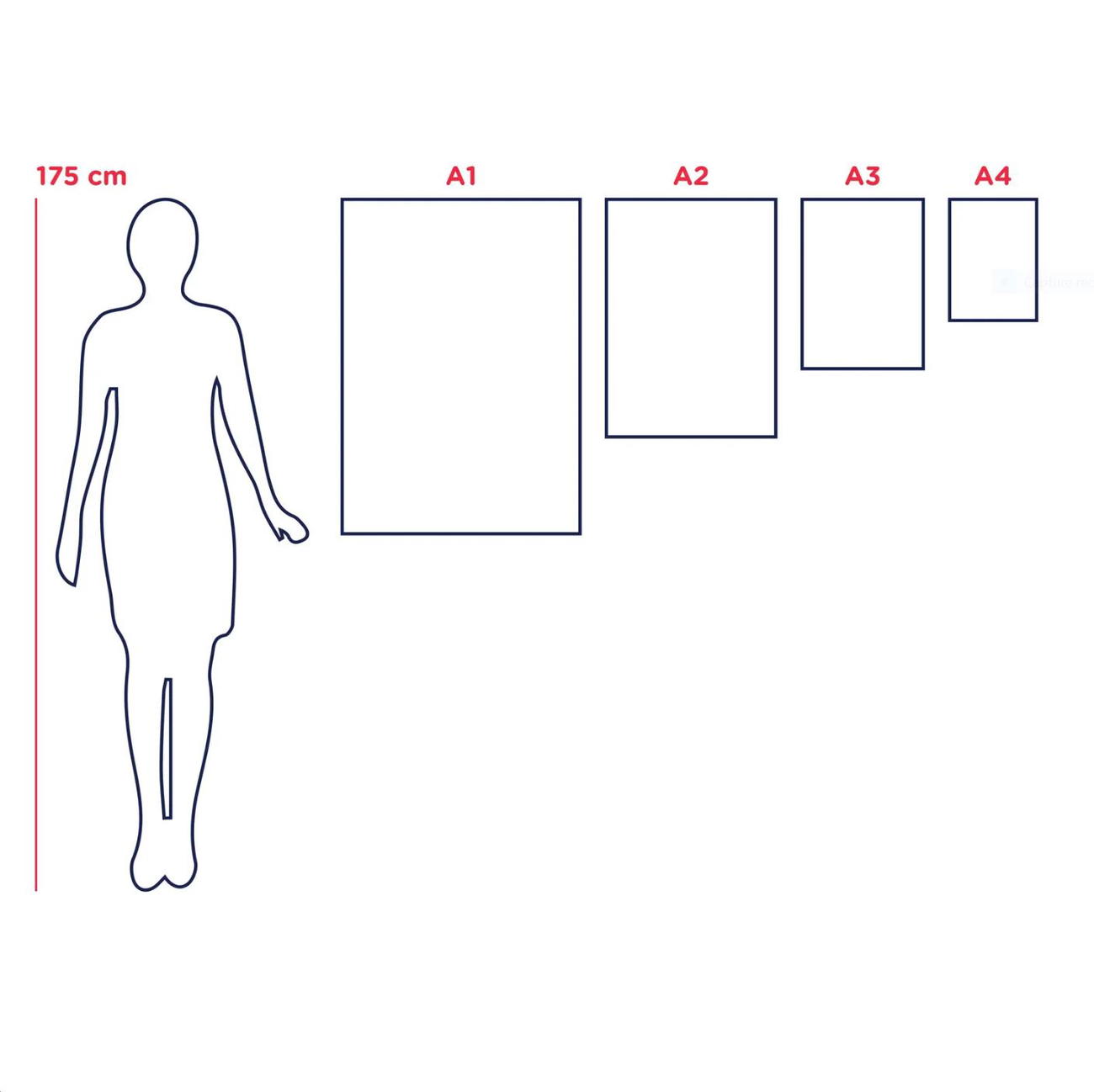 product_image_967259