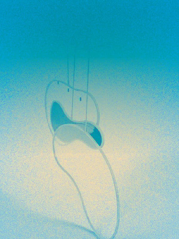 Image back Contemplatio céleste