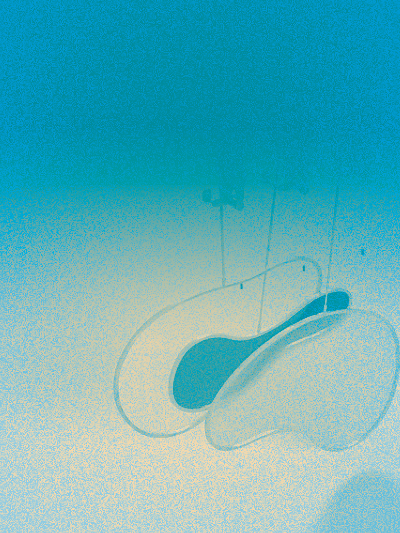 product_image_429868