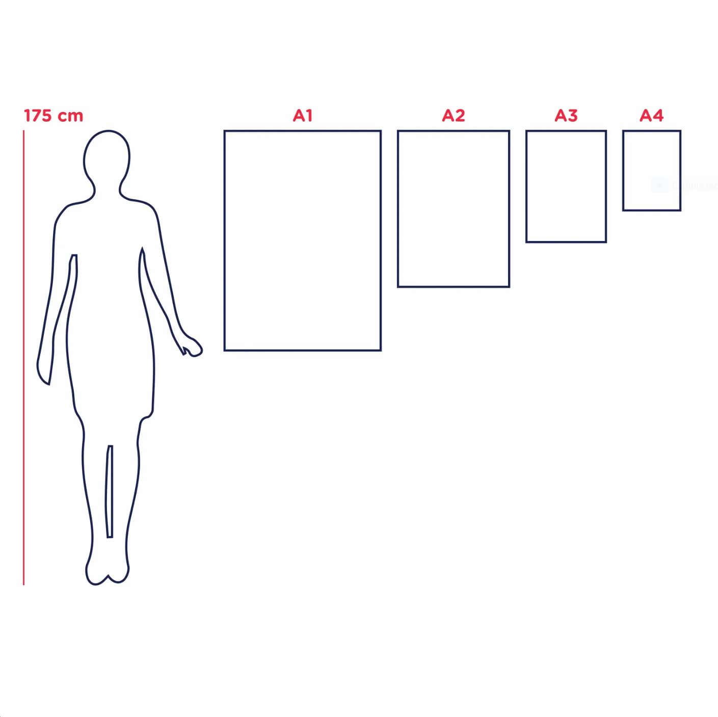 product_image_745386