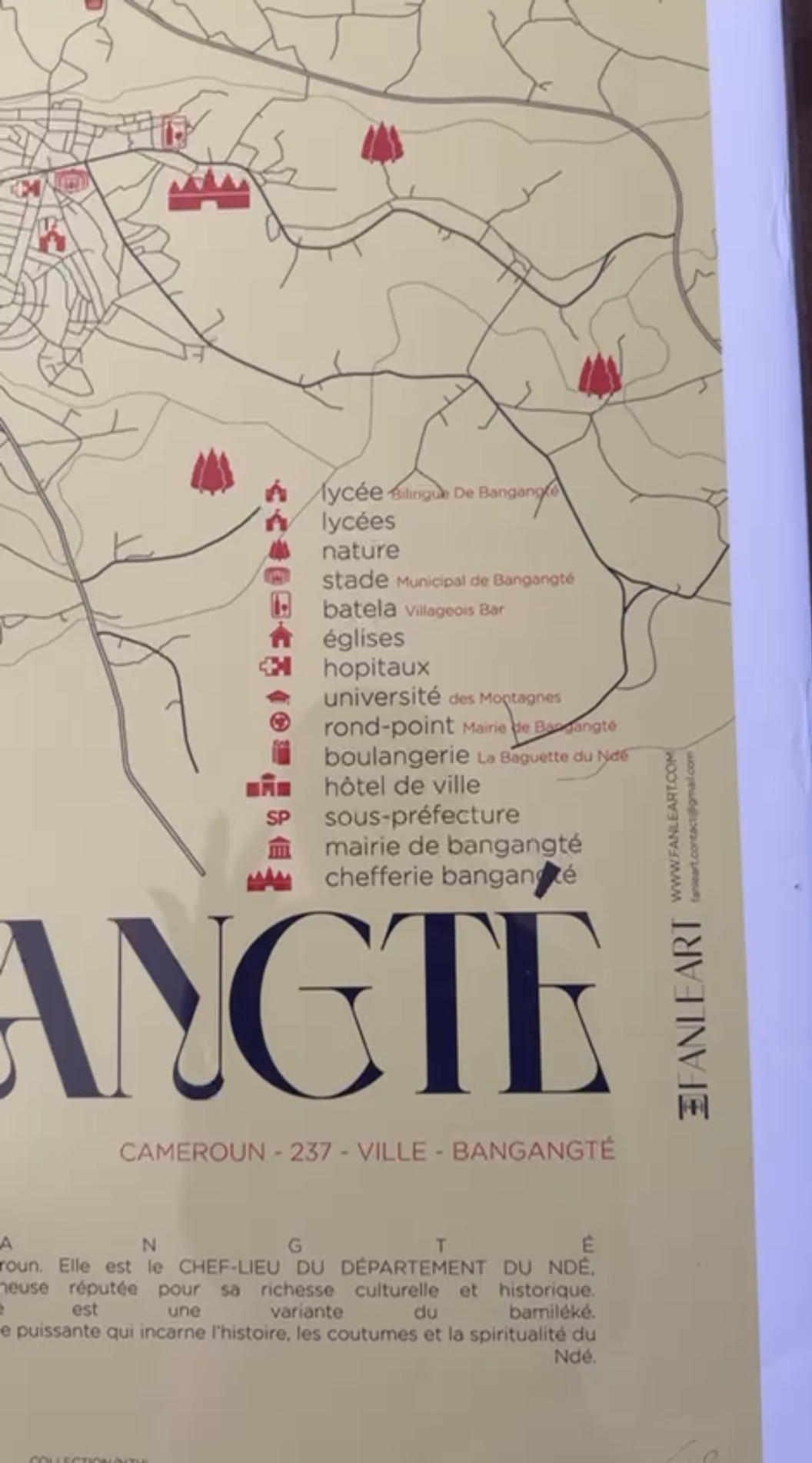 product_image_534775