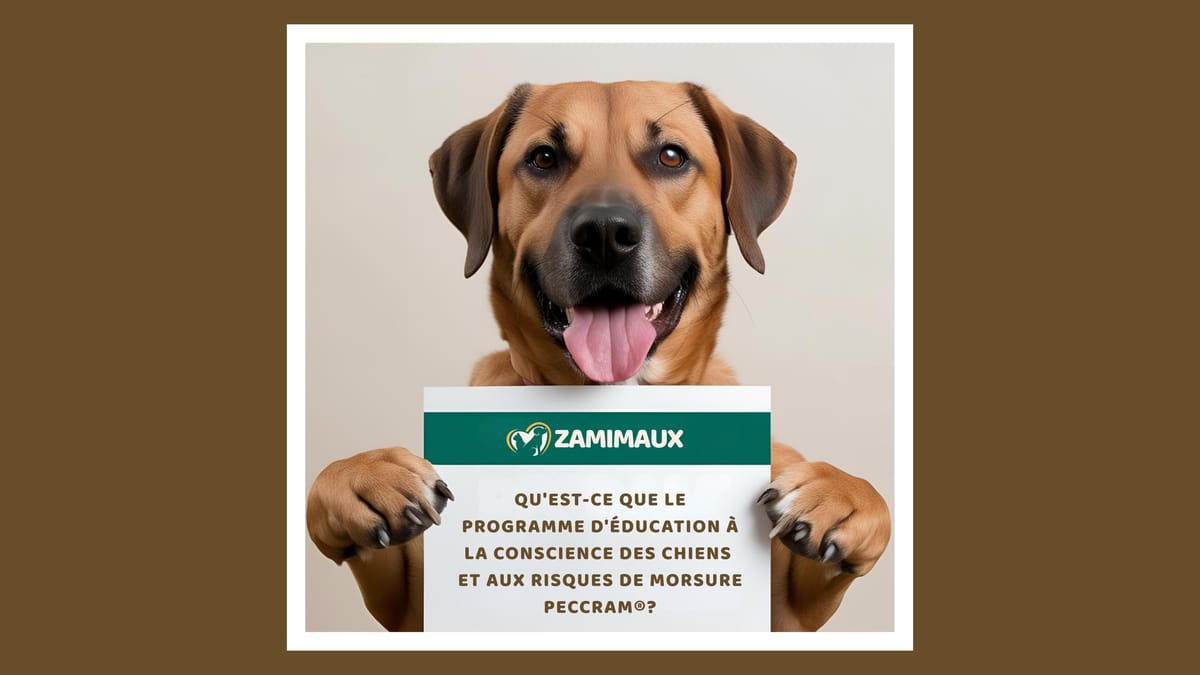 Image PECCRAM : Apprendre aux Enfants à Vivre en Harmonie et Sécurité avec les Chiens