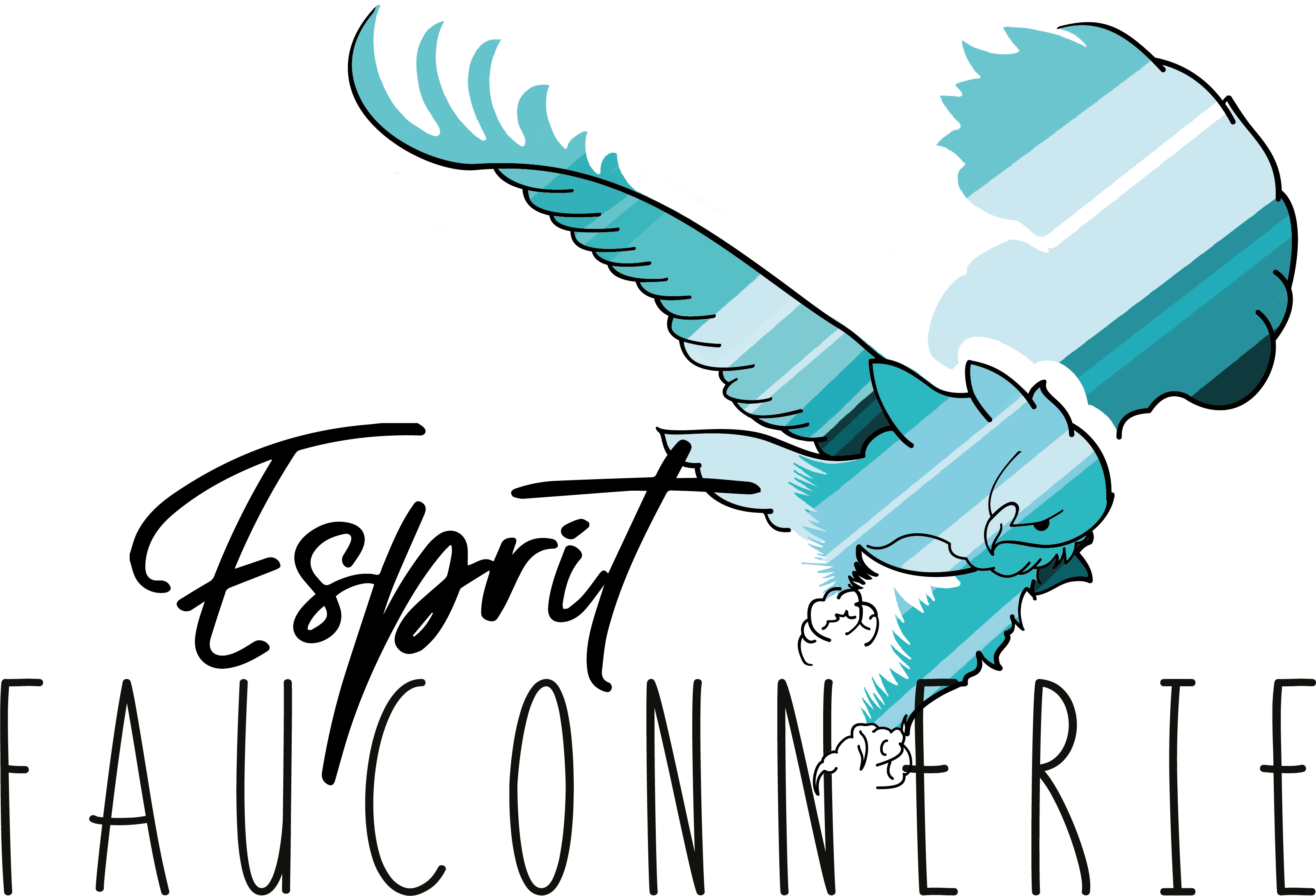 Logo de la boutique 