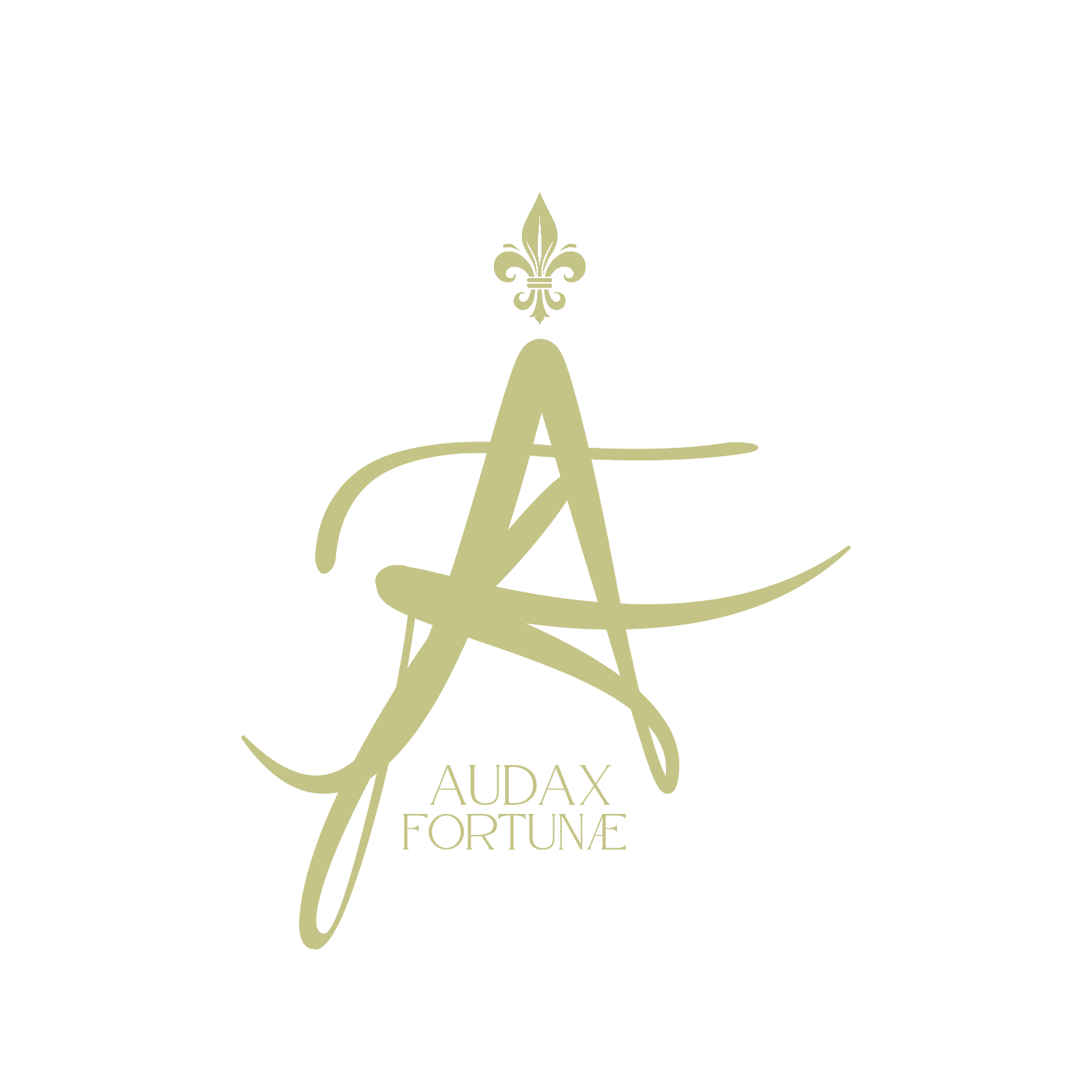 Logo de la boutique Audax Fortunae